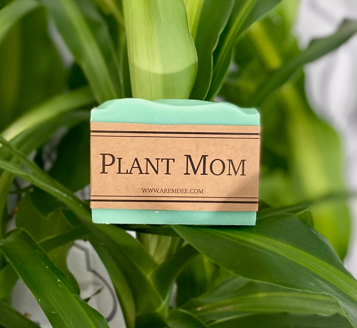 Plant Mom